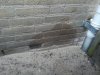 IMG_20200815_072108.jpg