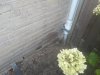 IMG_20201020_140300.jpg