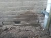 IMG_20201020_140312.jpg