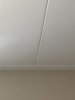 IMG_1428.jpeg IMG_1428.jpeg