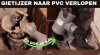 Screenshot_20230411-151445_YouTube.jpg