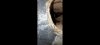 Screenshot_20230412-183754_Gallery.jpg