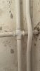 IMG_0984.jpeg