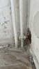 IMG_0993.jpeg