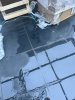 IMG_3864.jpeg
