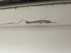 PXL_20230430_065353792.jpg