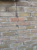 IMG_0885.jpeg IMG_0885.jpeg