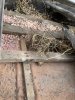 IMG_4202.jpeg IMG_4202.jpeg