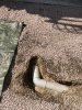 IMG_7737.jpeg