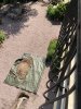 IMG_7740.jpeg