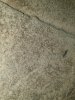 20230512_170241.jpg 20230512_170241.jpg