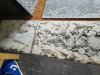 20230515_121109.jpg 20230515_121109.jpg