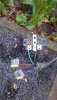 71276A9E-12EB-4285-91E8-8BBA8A254D66.jpeg