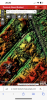 A86B1B37-6B24-408D-90F9-8DDA0FCA1628.png