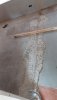 IMG-20230607-WA0004.jpeg