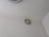 IMG_5398.jpeg IMG_5398.jpeg