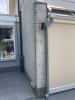 IMG_1335.jpeg