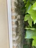 IMG_1337.jpeg