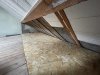 IMG_8701.jpeg