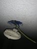 IMG_1723.jpeg