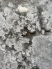 IMG-9645.jpg