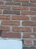 20210608_210628.jpg