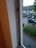 IMG_20230703_202351583.jpg