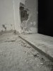 IMG_1240.jpeg