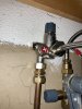 IMG_1598.jpeg