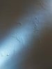 20230710_033034.jpg