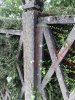 IMG_7998.jpeg IMG_7998.jpeg