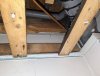 PXL_20230715_184846535.jpg