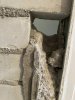 IMG_0379.jpeg IMG_0379.jpeg