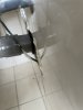 IMG_8047.jpeg
