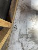 IMG_4229.jpeg