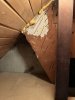 IMG_9097.JPEG