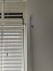 IMG_8253.jpeg