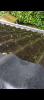 Screenshot_20230731-193255.png Screenshot_20230731-193255.png