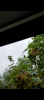 Screenshot_20230731-193412.png Screenshot_20230731-193412.png