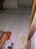 20230803_060244.jpg