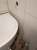 PXL_20230808_113829814.jpg
