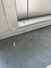 IMG_1543.jpeg