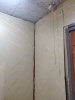 IMG_20230814_085316.jpg