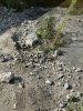 vloer beton.JPG