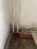 IMG_8592.jpeg