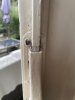 IMG_0011.jpeg