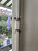 IMG_0010.jpeg