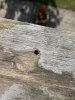IMG_4205.JPEG
