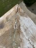 IMG_4206.JPEG