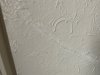 IMG_0013.jpeg